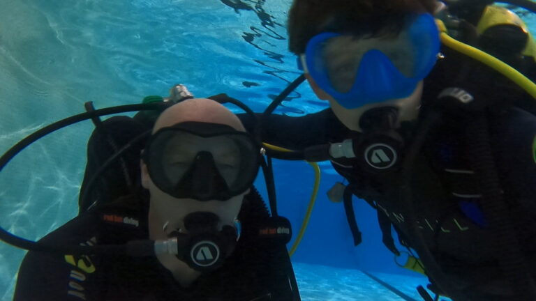 Family underwater photo